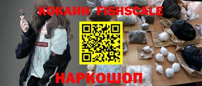 индика Гагарин