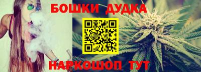индика Гагарин
