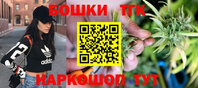 индика Гагарин