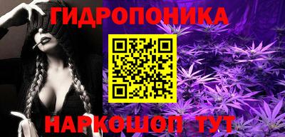 дживик Гатчина