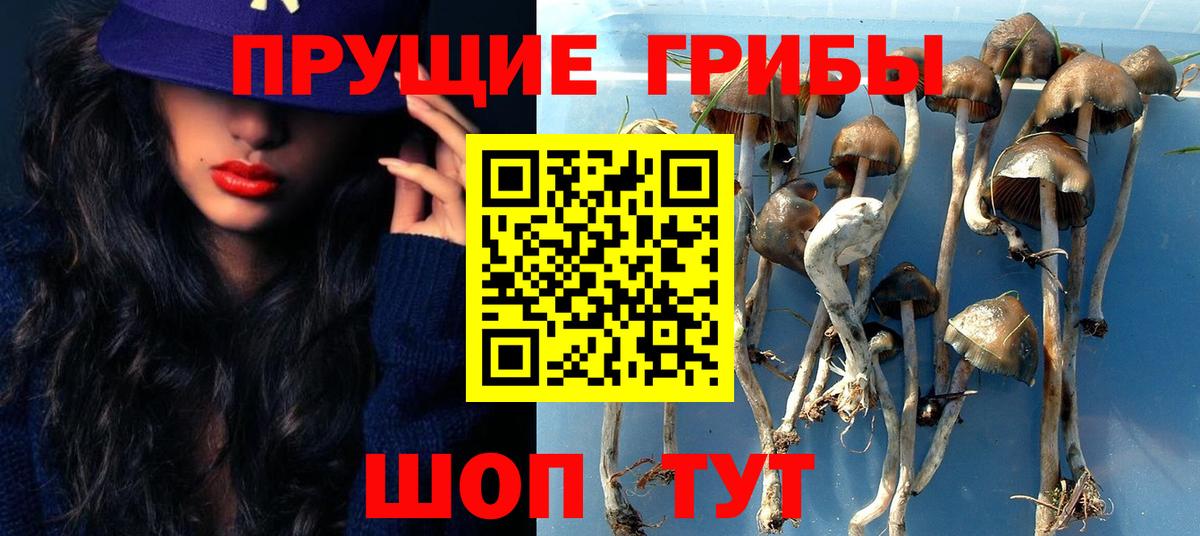 Галлюциногенные грибы мицелий  Псилоцибиновые грибы мицелий  Вход с VPN  Вязьма 