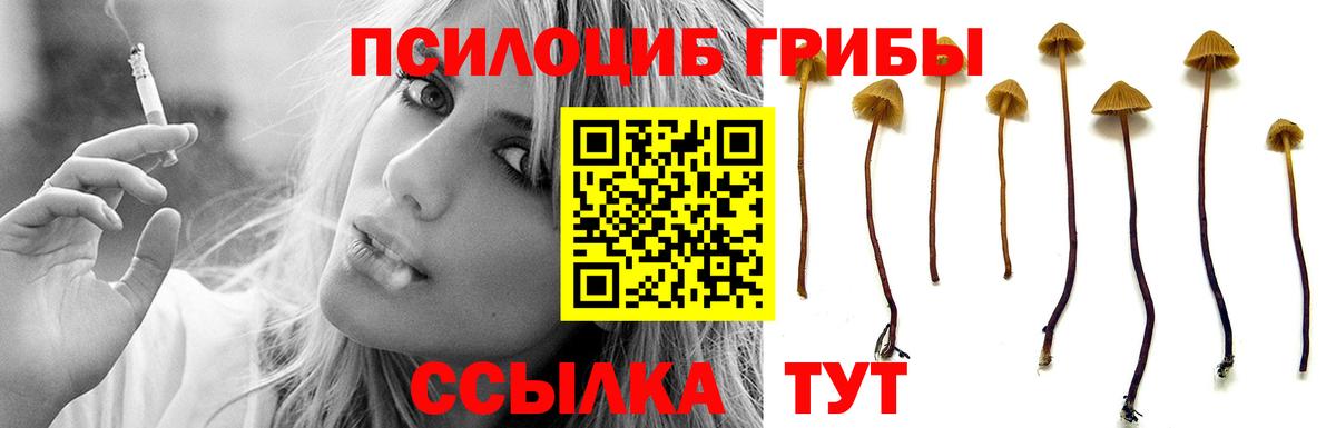 Псилоцибиновые грибы прущие грибы Вязьма